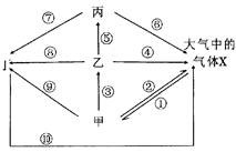 生態(tài)系統(tǒng)碳循環(huán)分析 光合作用、化能合成作用與海洋生物活性物質(zhì)提取的關(guān)聯(lián)