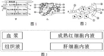 孟德爾遺傳規(guī)律為何不適用于細(xì)菌等單細(xì)胞生物？